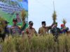 Syukuran Panen Padi Apung bersama Kelompok Tani Cinta Maju, Desa Hamayung, Kecamatan Daha Utara, Kabupaten Hulu Sungai Selatan, Selasa (4/4/2023). (Foto: Kominfo Hulu Sungai Selatan/Koranbanjar.net)