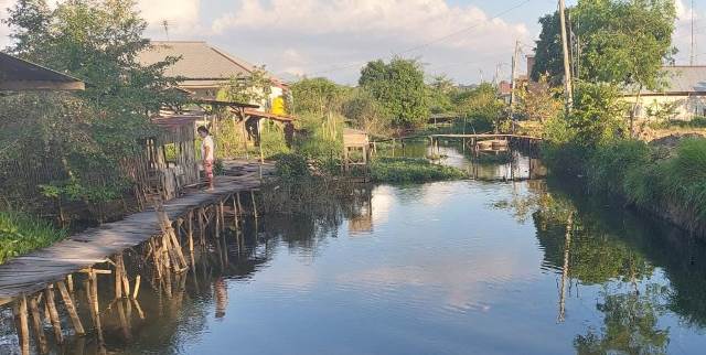 Suasana sungai Handil Jepang di Jalan Veteran, Desa Sungai Sipai yang penuh dengan tanaman liar, Selasa (16/5/2023) (Sumber Foto: Pitriyadi/Koranbanjar.net)
