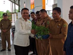Swadaya Pengurus, Hipmi Tabalong Bagikan 15.000 Bibit Cabai kepada Masyarakat