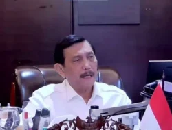 RI Mau Impor 50 Ribu Ekor Sapi dan 300 Ribu Ton Kedelai dari Afrika Selatan