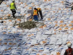 300 Ribu Ton Beras Impor Banjiri Pasar RI, Jutaan Ton Menunggu Dikirim