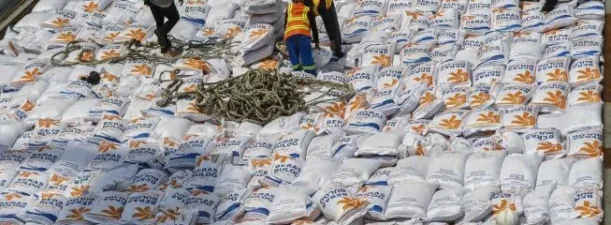 300 Ribu Ton Beras Impor Banjiri Pasar RI, Jutaan Ton Menunggu Dikirim