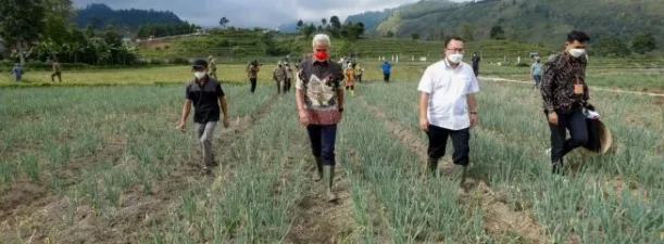 BMKG Ingatkan Ancaman Elnino Tahun Ini Bisa Ancam Ketahanan Pangan Nasional