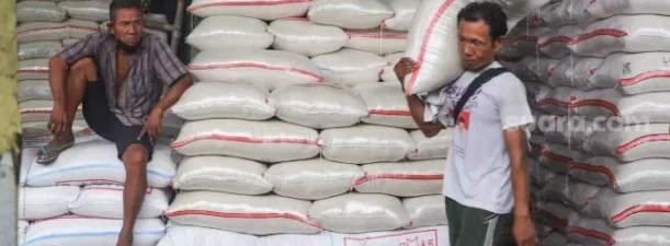 Dunia Terancam Kelaparan, Produsen Beras Nomor 1 India Stop Ekspor