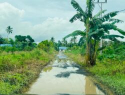 Kondisi Jalan Desa Kalampaian Ilir Rusak Parah