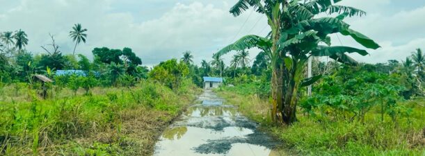 Kondisi Jalan Desa Kalampaian Ilir Rusak Parah