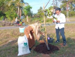 Ratusan Bibit Pohon Ditanam di Wilayah Trans Gunung Kupang