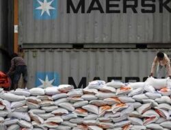 Hadapi Dampak El Nino, Bulog Kembali Bakal Impor Beras