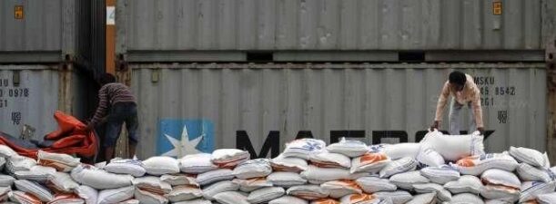 Hadapi Dampak El Nino, Bulog Kembali Bakal Impor Beras