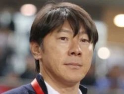 6 Fakta Shin Tae-yong Mau Jadi PNS dan Dinaturalisasi? Inilah Syarat Rumitnya!