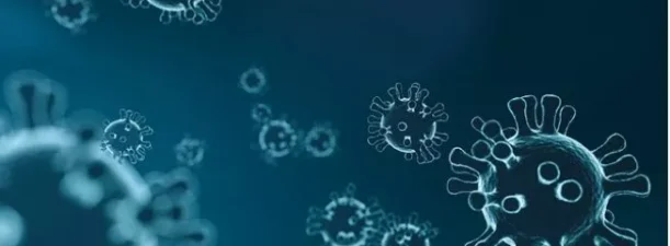 Mengenal Virus Nipah: Penyebab, Gejala, Cara Penularan dan Pengobatan