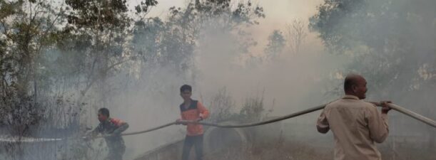 Karhutla Menimpa Desa Tambak Padi Kecamatan Beruntung Baru