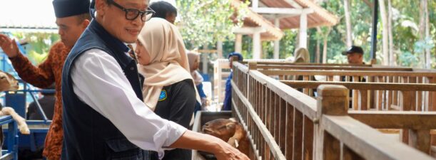 Diversifikasi Produk dan Olahan Kambing Jadi Bukti Keberhasilan P4S Lurisae Purworejo