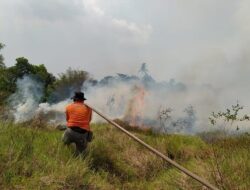 Lima Hektare Semak Belukar di Desa Abumbun Jaya Hangus Terbakar