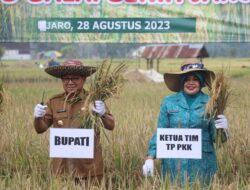 Puncak Musim Kemarau, Tabalong Masih Bisa Panen Raya