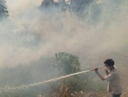Lahan Seluas 10 Hektare di Desa Cindai Alus Dilahap Karhutla