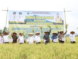 Bupati Sayed Jafar Panen Raya Padi Sawah di Desa Salino