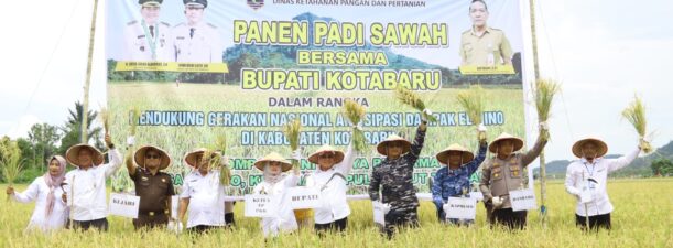 Bupati Sayed Jafar Panen Raya Padi Sawah di Desa Salino