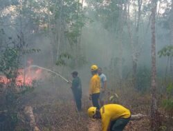 Tim Elang Darat Selamatkan Perkebunan Karet Dari Amukan Karhutla