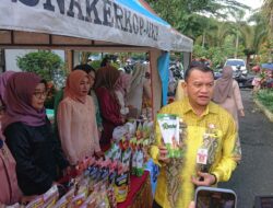 Hermansyah Bangga dengan Produk UMKM Kabupaten HSS