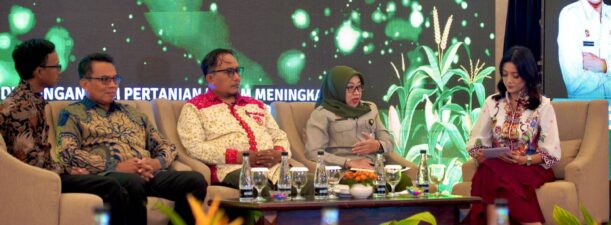 Genjot Produksi Padi-Jagung, Cara Kementan Hadapi Ancaman El Nino