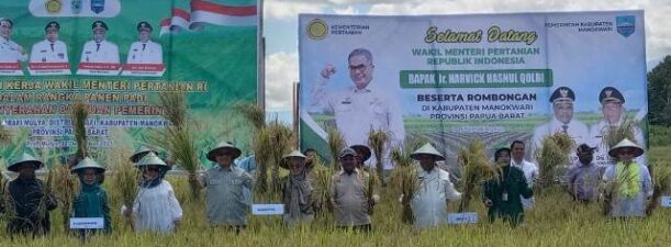 Panen Padi di Manokwari, Wamentan Dorong Jadi Lumbung Pangan Papua Barat