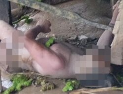 Buruh Serabutan Suka Nyanyi Lagu India Meregang Nyawa di Kolong Rumah