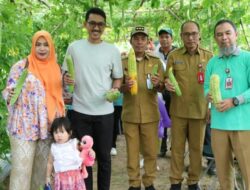 Panen Buah dan Sayur di Kebun PKK Kabupaten Banjar