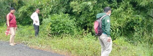 Peninjauan Lokasi Rencana Pembangunan Drainase di Desa Gunung Ulin