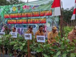 Bupati Tabalong Minta Petani Desa Catur Karya Kembangkan Tanaman Hortikultura