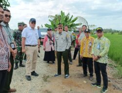 BPPSDMP Kementan Support Petani, Penyuluh, dan Babinsa Barito Kuala Dorong Optimalisasi Lahan