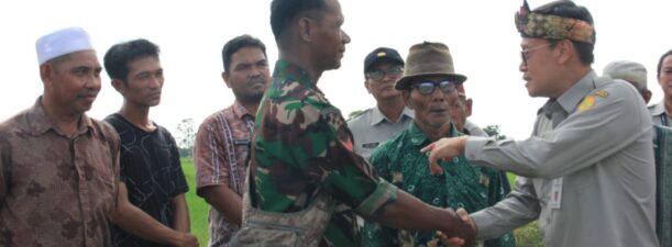 Dorong Optimasi Lahan, Kementan Dukung Penuh Petani, Penyuluh, dan Babinsa Barito Kuala