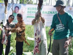 Target Sembelih 60 Hewan Kurban, BAZNAS Kalsel Ingin Berkontribusi Maksimal