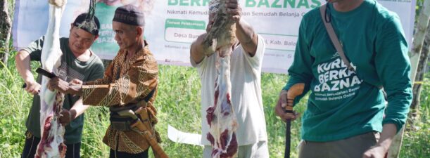 Target Sembelih 60 Hewan Kurban, BAZNAS Kalsel Ingin Berkontribusi Maksimal