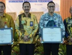 RSD Idaman Terima Plakat Penghargaan Katagori Capaian Maturitas MR dan Kapabilitas SPI
