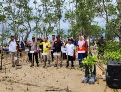 Peringati Hari Lingkungan Hidup, DLH Kabupaten Kotabaru Tanam 10.000 Bibit Mangrove