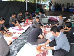 Berbagi di Momen Idul Adha, PTAM Intan Banjar Sembelih Empat Ekor Sapi Kurban