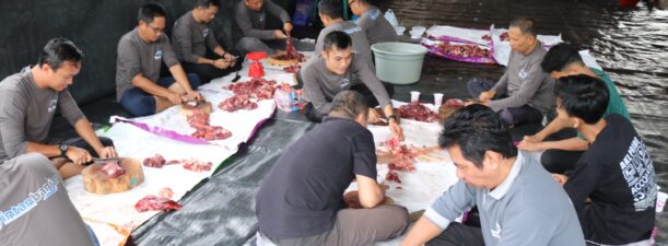Berbagi di Momen Idul Adha, PTAM Intan Banjar Sembelih Empat Ekor Sapi Kurban