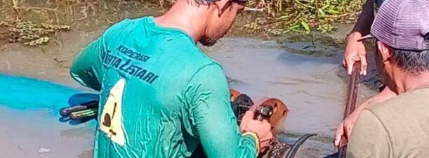 Perkuat Layanan di Kawasan Perbatasan, PTAM Intan Banjar Bakal Bangun IPA di Sungai Bakung