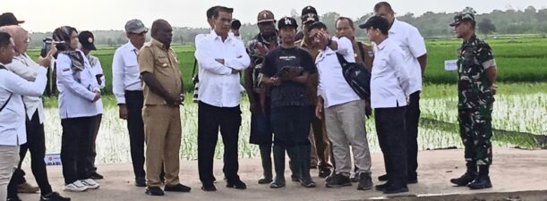 Presiden Jokowi dan Ibu Iriana Tinjau Simulasi Drone Tabur Pupuk di Papua Selatan