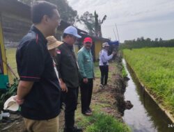 Kementan Bersama Dinas Pertanian Ketahanan Pangan Kalsel Panen Padi Apung di Batola