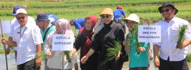 Maksimalkan PAT, Kementan Tanam Padi Bersama Petani dan Penyuluh Kabupaten Banjar