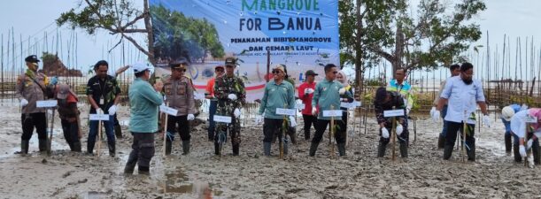 Cegah Abrasi, Sekda Kotabaru Pimpin Penanaman Ribuan Mangrove di Desa Semisir