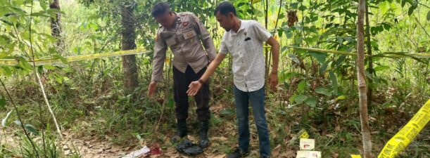Terpicu Emosi, Pria Kecamatan Halong Pukul Wanita Paruh Baya Hingga Tewas