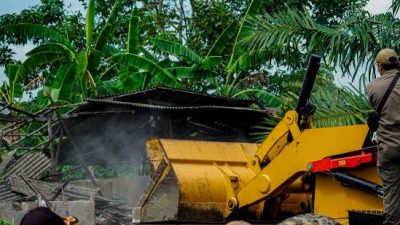 Bentuk Keseriusan, Pemko Banjarbaru Bongkar Kandang Babi Ilegal di Guntung Manggis