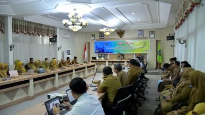 Sekda HSS Sambut Tim BPK Periksa Program Pelayanan Kesehatan