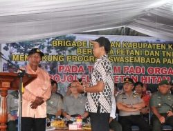 Ikut Majukan Pertanian, Begini Cara Daftar Brigade Swasembada Pangan
