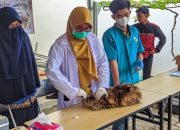Hari Rabies Sedunia, Disbunnak Tabalong Berikan Layanan Vaksinasi Hewan Secara Gratis