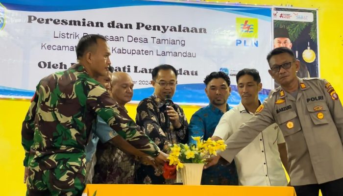 Kado Istimewa Sambut Nataru, PLN Resmikan Listrik Desa Tamiang