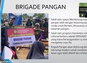 Kiprah Petani Milenial Kalsel, Dukung Peningkatan Swasembada Pangan